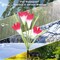 2 Pcs Solar Flowers LED Light Outdoor Garden Yard Stake Solar Flower Lights
